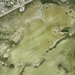 Big Coppitt Key map(satellite map)