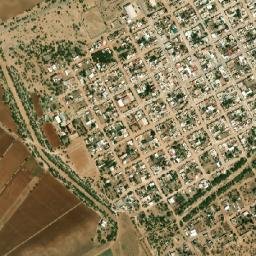 Ignacio Allende map(satellite map)