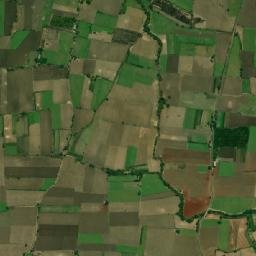 Mandsaur map(satellite map)