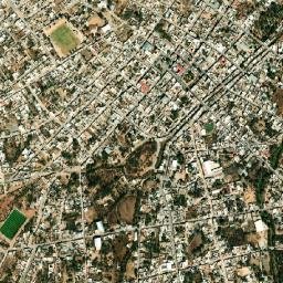 Miguel Auza map(satellite map)