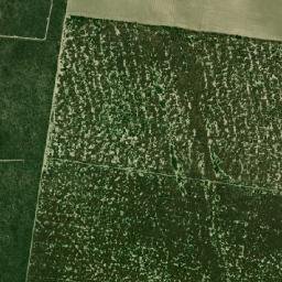 Jiménez map(satellite map)