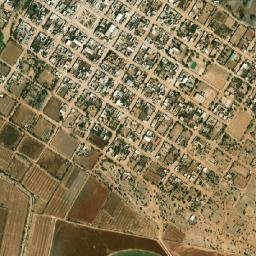 Ramón Corona map(satellite map)