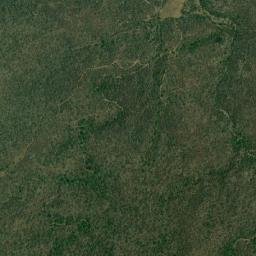 Palamu map(satellite map)