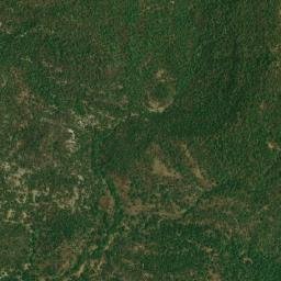 Shahdol map(satellite map)