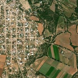 Rio de Medina map(satellite map)