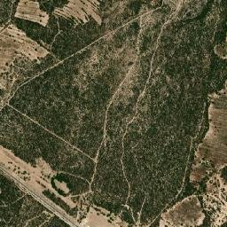 Mier y Noriega map(satellite map)