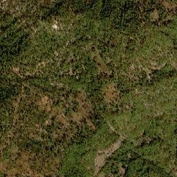 Pueblo Nuevo map(satellite map)
