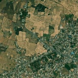 Tendukheda map(satellite map)