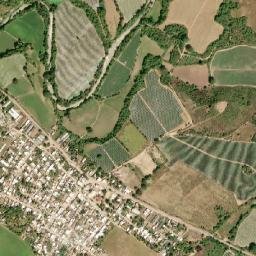 La Concepción map(satellite map)