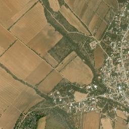 Carrillo map(satellite map)
