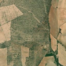 Los Zacatones map(satellite map)