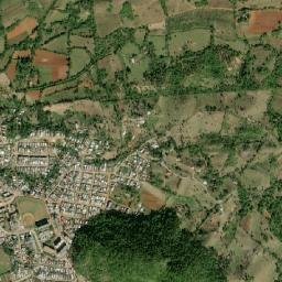 Municipio de La Palma map(satellite map)