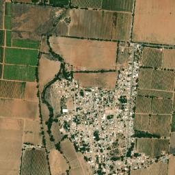 La Concepción map(satellite map)