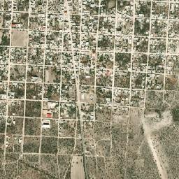 Palomas map(satellite map)