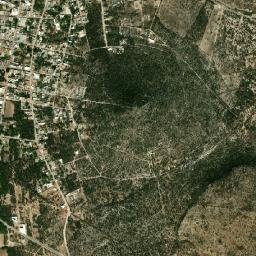 Villa Hidalgo map(satellite map)