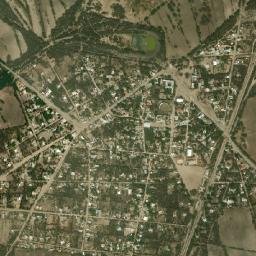 Corcovado map(satellite map)