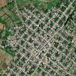 Palmira map(satellite map)