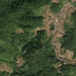 Huyện Mường Nhé map(satellite map)