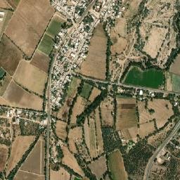 El Tule map(satellite map)