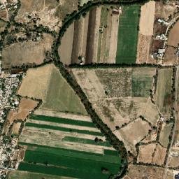 San Antonio de los Horcones map(satellite map)