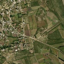 Higinio Olivo map(satellite map)