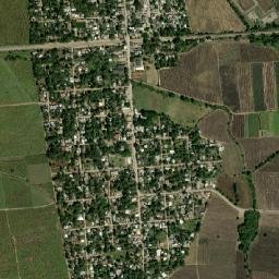 Rascón map(satellite map)