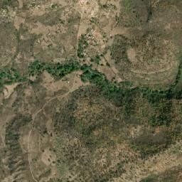 Coamostita map(satellite map)