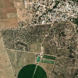 La Loma de los Negritos map(satellite map)