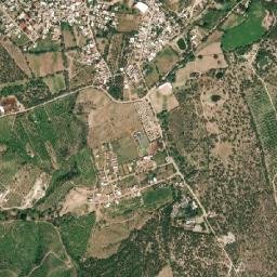 El Cuervero (Cuerveros) map(satellite map)