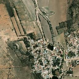 Gachupines map(satellite map)