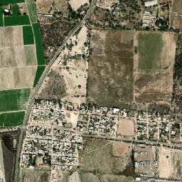 Cotorina map(satellite map)