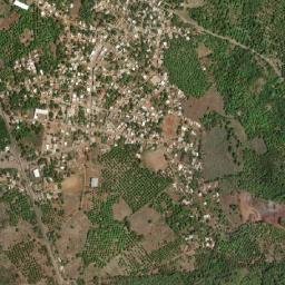 El Jicote map(satellite map)