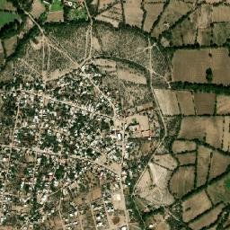 El Fuerte map(satellite map)