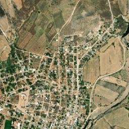 Puente de Camotlán map(satellite map)