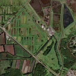 Kahuku map(satellite map)