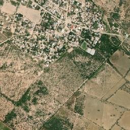 El Tejocote (El Domingo) map(satellite map)