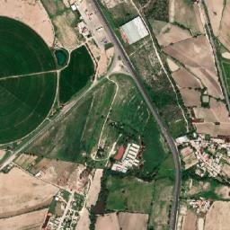 El Jaralillo map(satellite map)