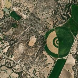 Custique map(satellite map)