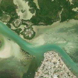 Río Lagartos map(satellite map)
