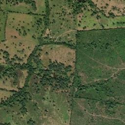 Tempoal map(satellite map)