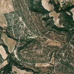 Ejido Ciénega de Mora map(satellite map)