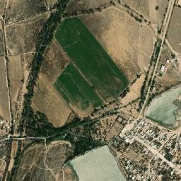San José del Torreón map(satellite map)