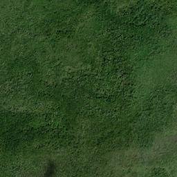 Dzilam de Bravo map(satellite map)