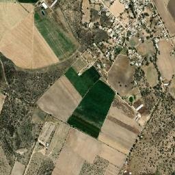 El Ojuelo map(satellite map)