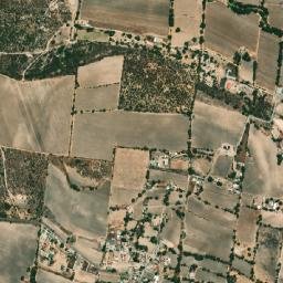 El Sauz de Ibarra map(satellite map)