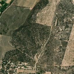 Ceja de Bolitas map(satellite map)
