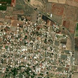 Trinidad García de la Cadena map(satellite map)