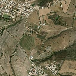 El Mirador map(satellite map)