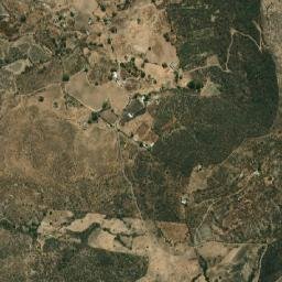 El Zapote map(satellite map)