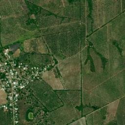 Álamo Temapache map(satellite map)